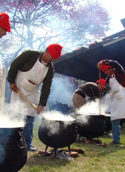 Fiesta Provincial Suiza